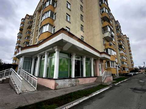 комерційна за адресою Центральна вул., 33