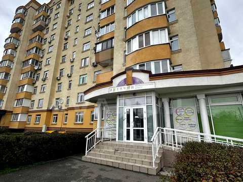 комерційна за адресою Центральна вул., 33