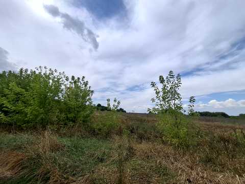 комерційна за адресою с. Воробіївка, Братів Тернових, 9Б