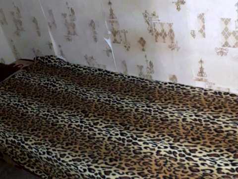 квартира по адресу Святослава Рихтера ул. (Щорса), 125/2