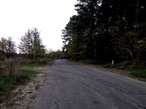 ділянка за адресою с. Хлопків, Хутірська