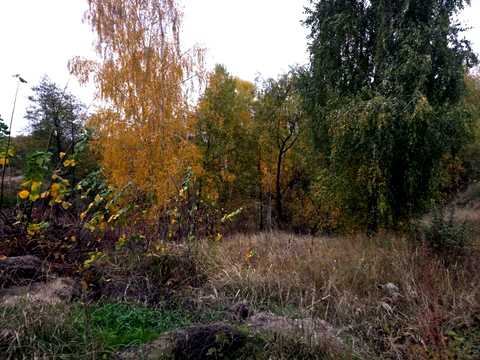 ділянка за адресою с. Хлопків, Хутірська