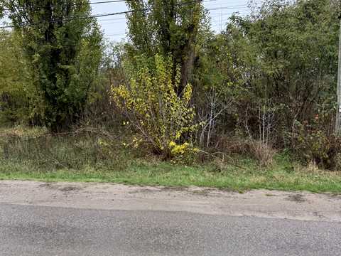 участок по адресу с. Лычанка, центральна, 68