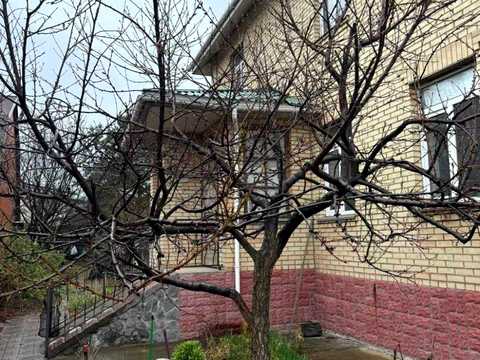 ділянка за адресою с. Софіївська Борщагівка, 