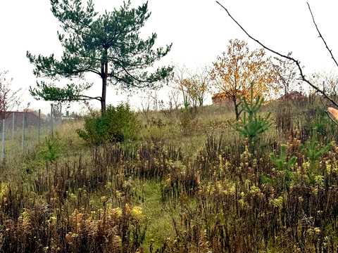 участок по адресу с. Бармаки, Ясна