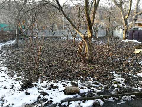 участок по адресу с. Лесники,