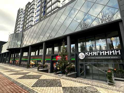 квартира по адресу Княгинин ул., (Будинок 38)