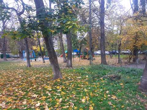 комерційна за адресою Арсенальна вул. (Зашиянівський), 15
