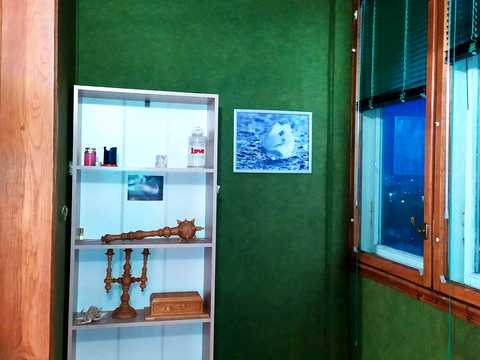 квартира за адресою Харківське шосе, 65