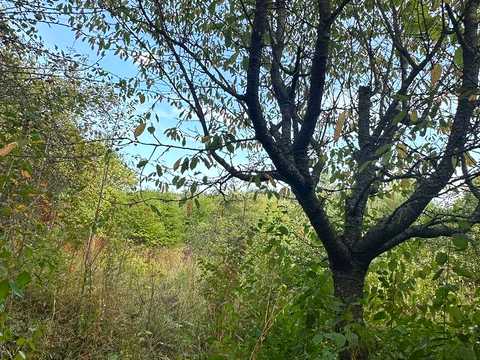 будинок за адресою с. Стуфчинці, Березина вул.
