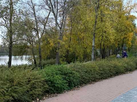 квартира за адресою Йорданська вул. (Лайоша Гавро), 3