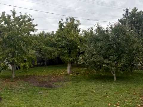 дом по адресу Соколова ул.