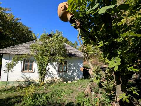 будинок за адресою с. Маліївці, Центральна, 55