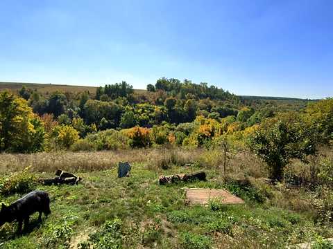 будинок за адресою с. Маліївці, Центральна, 55