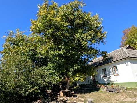 будинок за адресою с. Маліївці, Центральна