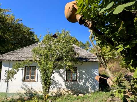 будинок за адресою с. Маліївці, Центральна