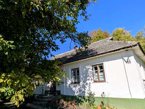 будинок за адресою с. Маліївці, Центральна