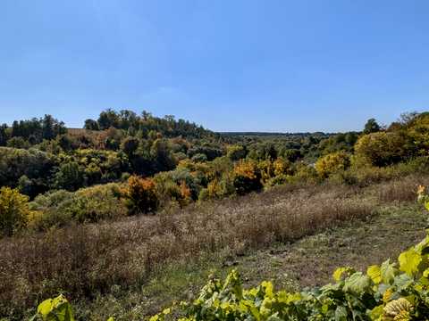 будинок за адресою с. Маліївці, Центральна