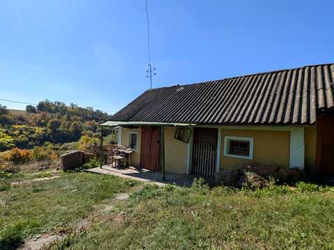 будинок за адресою с. Маліївці, Центральна