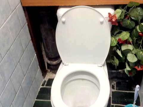 квартира по адресу Иорданская ул. (Лайоша Гавро), 11-Б