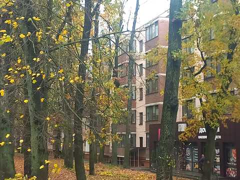 квартира за адресою Центральна вул. (Мічуріна), 2а