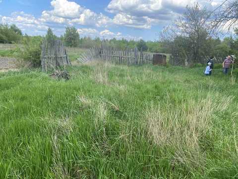 участок по адресу Горького
