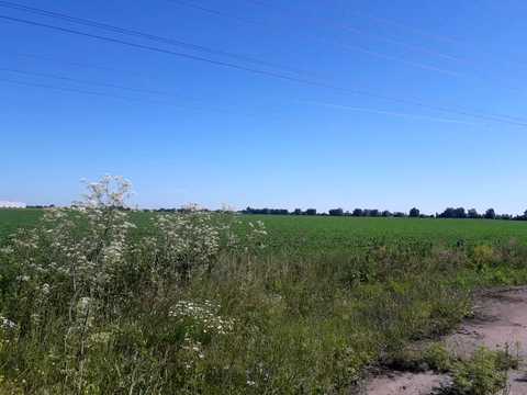 ділянка за адресою Поштова вул.