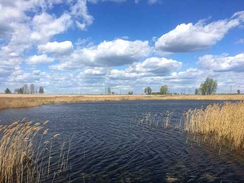 ділянка за адресою Ленінна