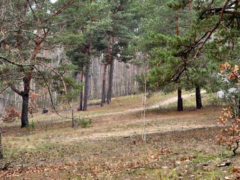 ділянка за адресою Львівська, 36