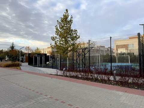 будинок за адресою Дружня, 6