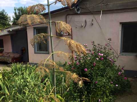 участок по адресу Штурвальна ул., 17
