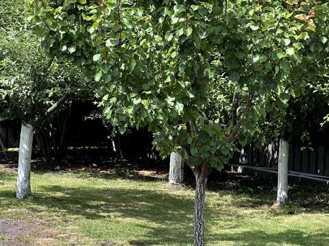будинок за адресою Дубрівка вул., 12