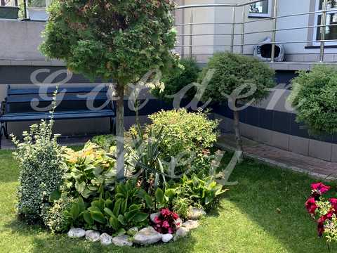 будинок за адресою с. Гора, Степова