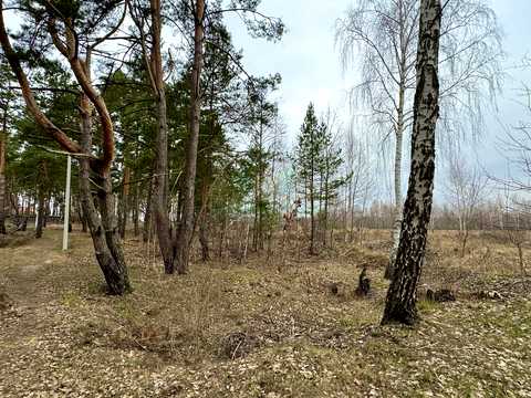 участок по адресу Буча, Льва Симиренко ул., 41