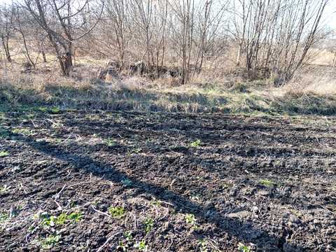 ділянка за адресою смт. Літин, Новітня