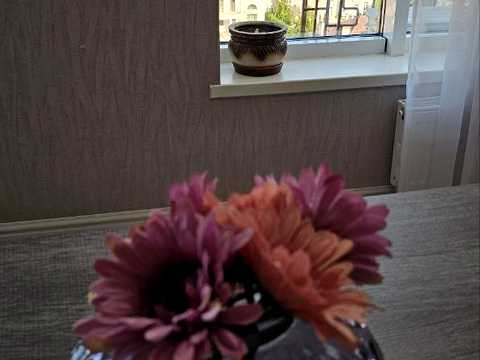 квартира по адресу Французский бульв., 60г
