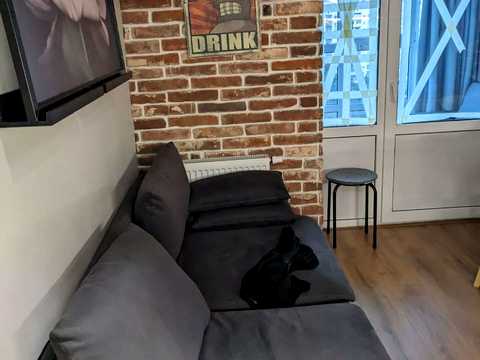квартира за адресою Патріарха Мстислава Скрипника вул. (Миколи Островського), 48-А