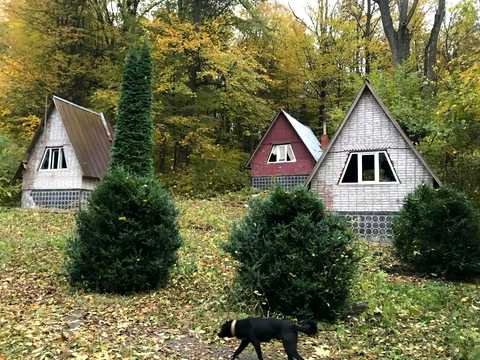 ділянка за адресою Красилів, Лісова, 1