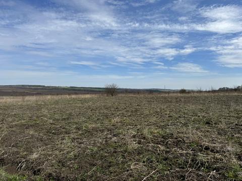 ділянка за адресою с. Лісові Гринівці, 