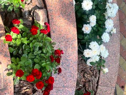 дом по адресу Центральная ул.