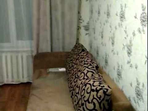 квартира за адресою дор. Велика Кільцева, 8