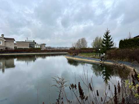 ділянка за адресою Берегова вул., 67