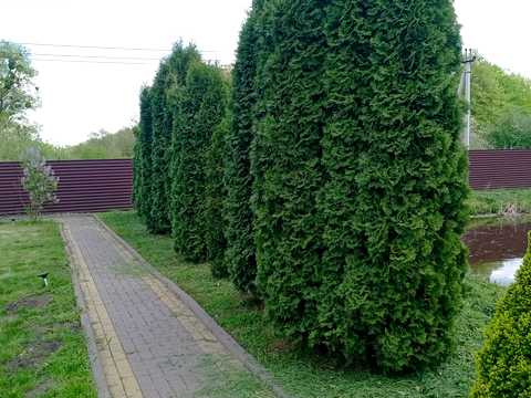 будинок за адресою Людкевича вул. (Чайковського), 42/1