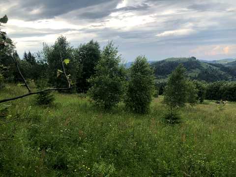 ділянка за адресою 