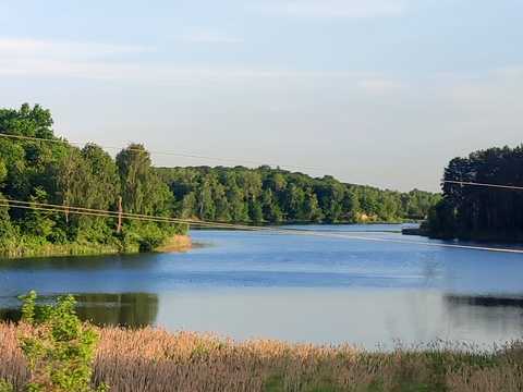 ділянка за адресою Польова