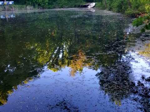 коммерческая по адресу Собранецкая ул., 2