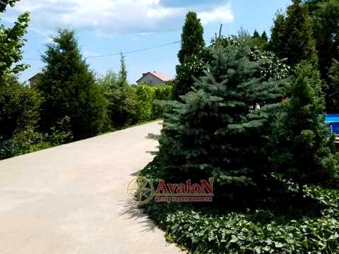 будинок за адресою Висоцького вул., 84