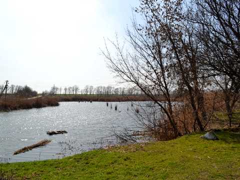 будинок за адресою с. Богатирівка, Гагаріна