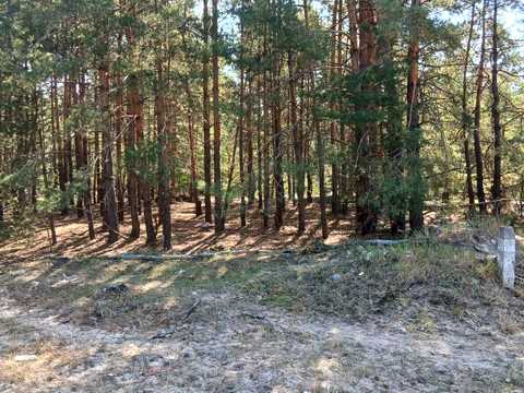 ділянка за адресою Лебедина