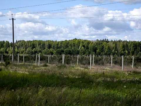 ділянка за адресою с. Катюжанка, київська